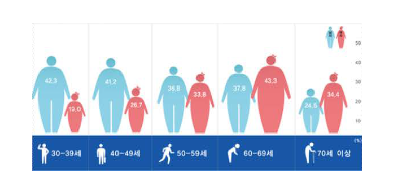 성인 연령별 비만 유병률