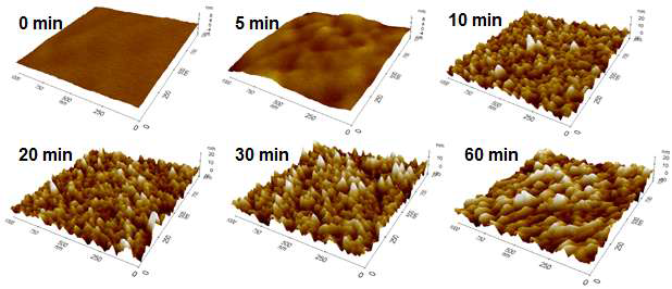 가수분해 시간에 따른 TAC 필름의 AFM 이미지