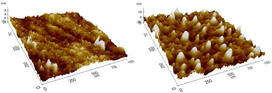 상압 플라즈마 처리에 따른 TAC 필름의 AFM 이미지