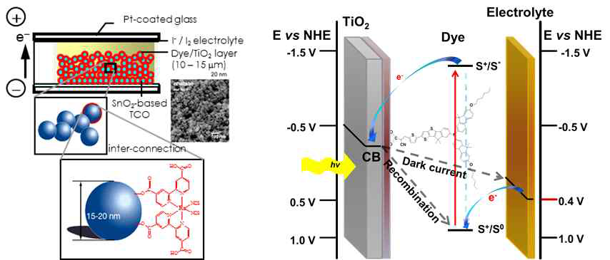 염료감응 태양전지의 구조