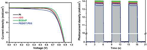 J-V curve 및 current decay