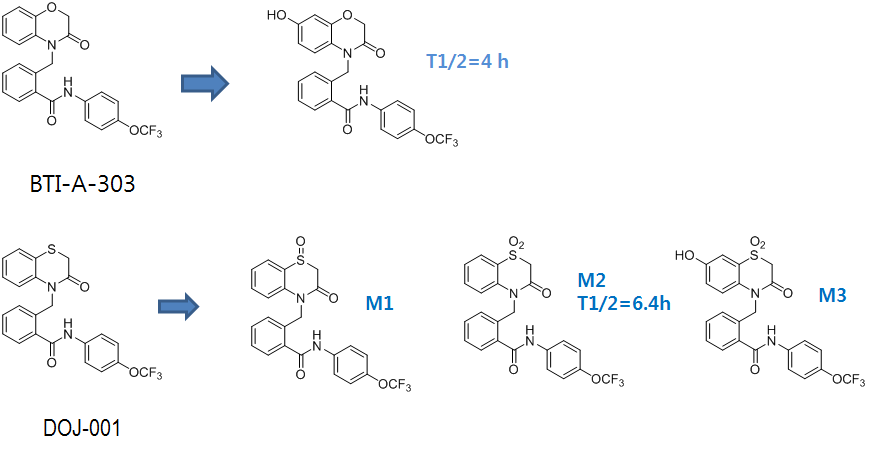 in vivo DMPK 연구를 통해서 분석된 BTI-A 303과 DOJ-001화합물의 대사산물