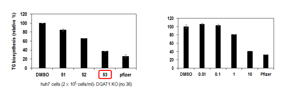 DGAT2 세포에서 확인된 DOJ53 화합물의 TG 생성 억제효능
