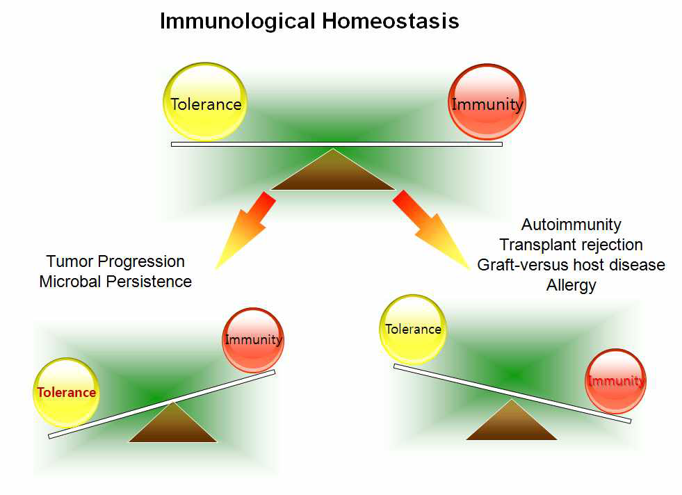 면역시스템의 항상성