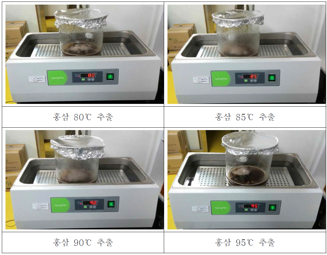 홍삼 추출온도별 추출모습