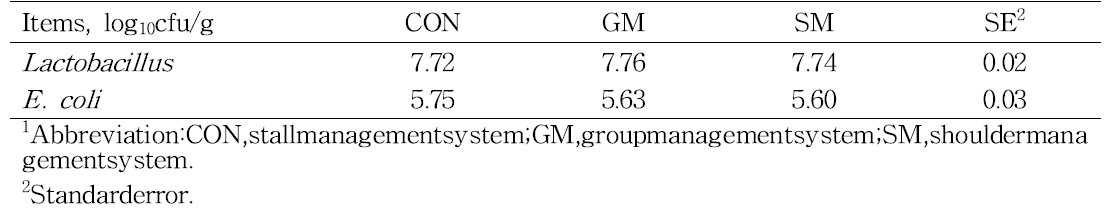 The effects of management system on fecal microflora in piglets