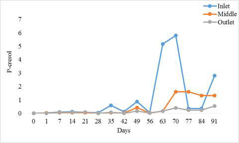 바이오 필터 안쪽의 세 가지 상이한 표본추출 지점(그림 7)에 따른 주변 p-크레졸에 대한 도표