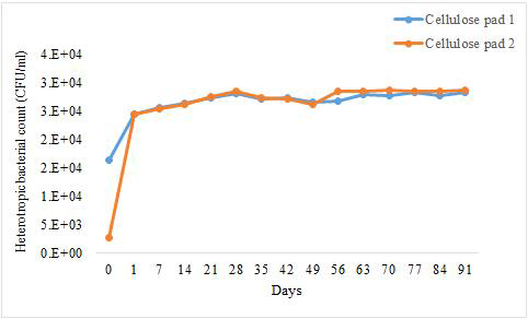 상이한 시간 간격에 따른, 포장재(섬유소 패드)에 부착된 배양 가능한 유기영양의 세균(CFU/ml)의 총 수
