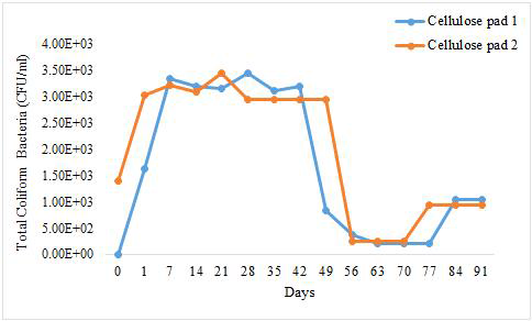 상이한 시간 간격에 따른, 포장재(섬유소 패드)에 부착된 대장 세균(CFU/ml의 총 수)