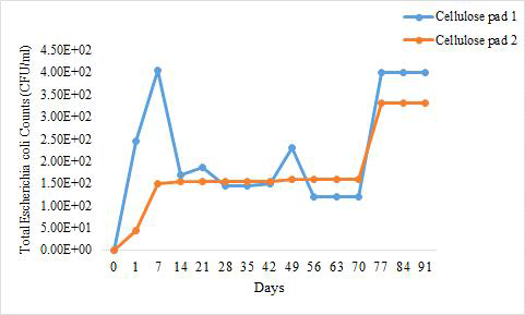 상이한 시간 간격에 따른, 포장재(섬유소 패드)에 부착된 대장균(CFU/ml)의 총 수