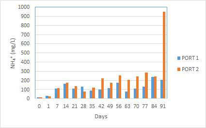 실험 도중 두 개 표본추출 구에서 나온 물속 총 암모니아 질소