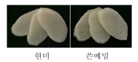 2차 시제품 즉석 떡국의 외관.