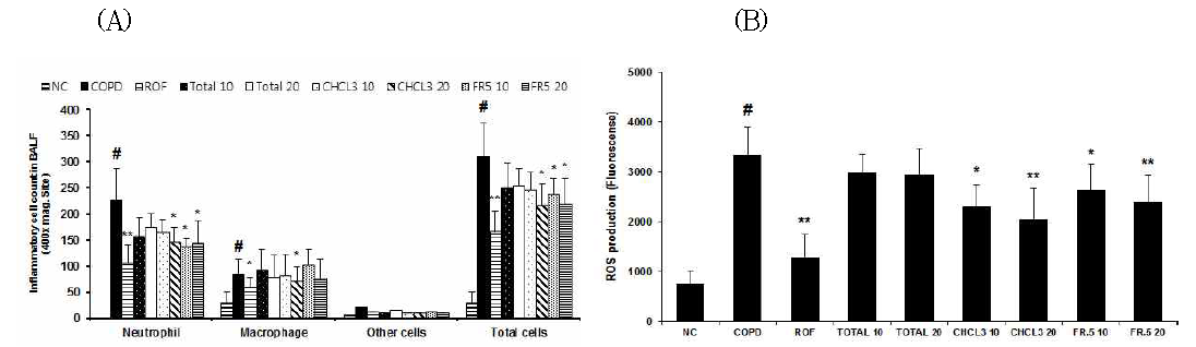 SF decreases ROS production (A) and inflammatory cell count (B) in the BALF.