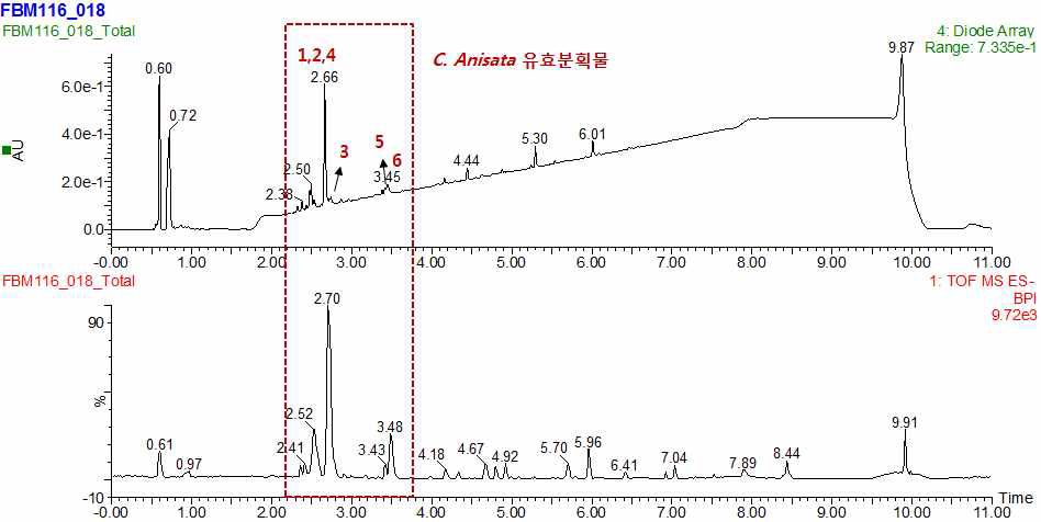 C. anisata에서 활성 유효분획물 및 분리된 CA 1-6 메인 화합물들.