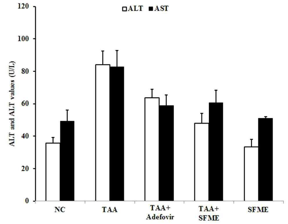 Effects of S. laceolata on ALT and AST values.