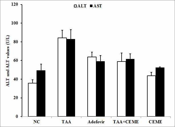 Effects of C. excavata Burm. on ALT and AST values.