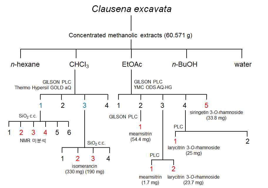 C. excavata로부터 생리활성물질 분리 모식도.