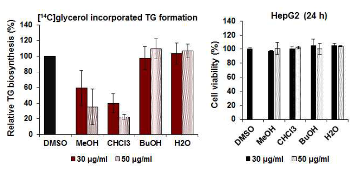 Inhibitory activity of FMBM89-63 extract on TG synthesis in HepG2 cells