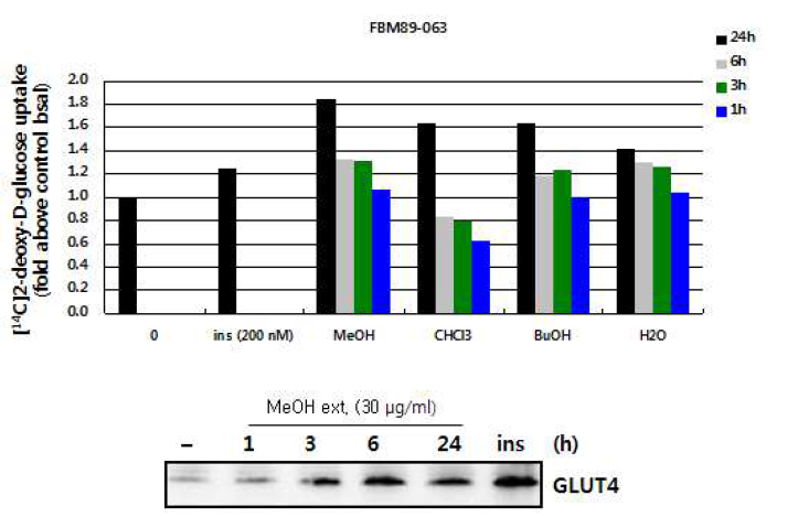 FBM89-63 increase glucose uptake and GLUT4 translocation in L6 cells