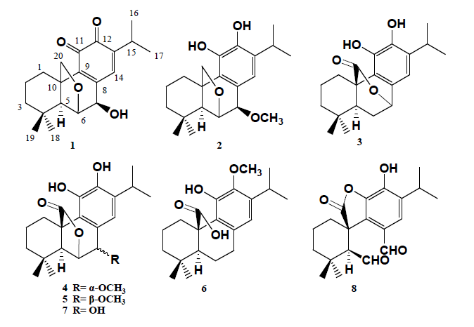 Chemical structures of compounds isolated from FBM026-084.