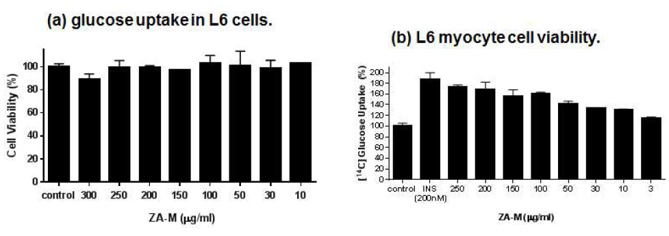 ZA increase glucose uptake in L6 cells