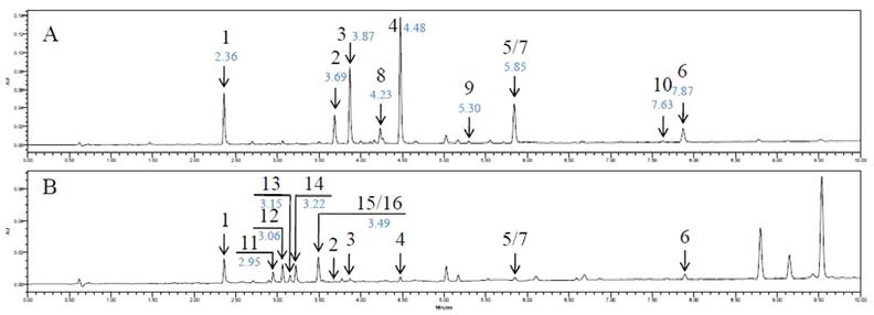 UPLC profile of Prunus cerasoides stem and leaf extract.