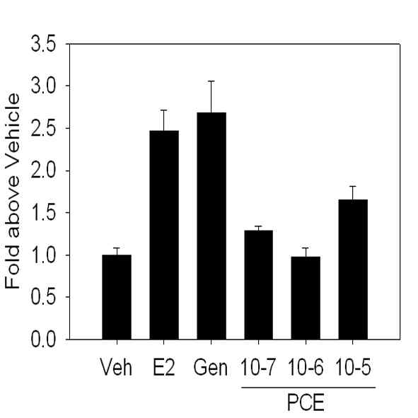 Prunus cerasoides 추출물에 의한 MCF7 세포의 pS2 gene 발현 유도