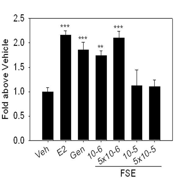 Flemingia strobilifera 추출물에 의한 MCF7 세포의 proliferation 유도