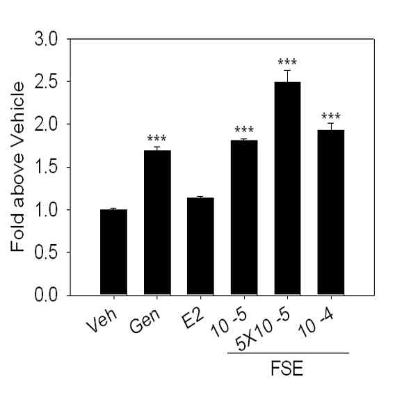 N2a cell line에서 Flemingia strobilifera 추출물에 의한 Ngb promoter activity 증가
