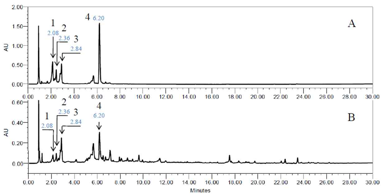 UPLC profile of Macluara pubescens.