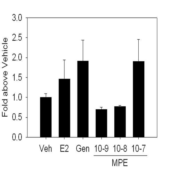 Macluara pubescens 추출물에 의한 MCF7 세포의 pS2 gene 발현 유도