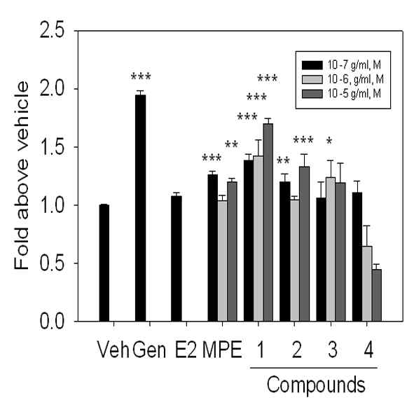 SKNSH cell line에서 Macluara pubescens 단일화합물에 의한 Ngb promoter activity 증가