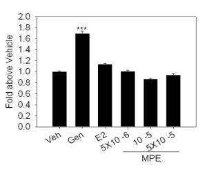 N2a cell line에서 Macluara pubescens 추출물에 의한 Ngb promoter activity 증가
