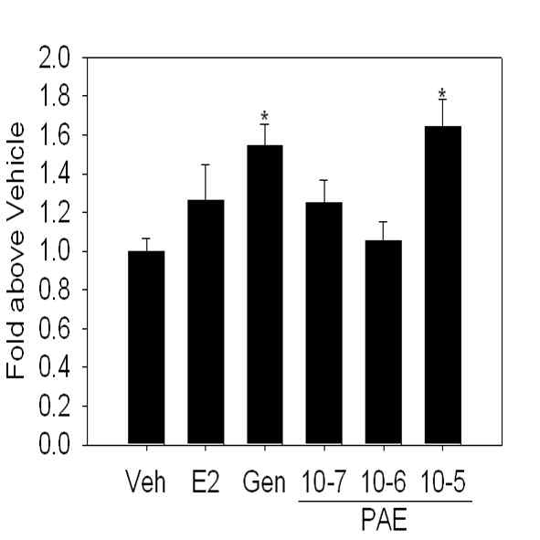 Prunus acerifolia 추출물에 의한 MCF7 세포의 pS2 gene 발현 유도