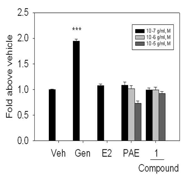 SKNSH cell line에서 Platanus acerifolia 단일화합물에 의한 Ngb promoter activity 증가