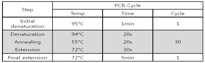 Mycoplasma 검출용 PCR 조건