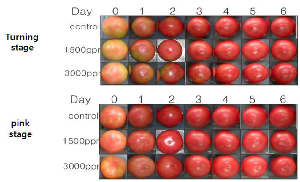 Changes in surface color(Hunter system) of tomatoes treated with cinnamon extracts during storage at room temperature.