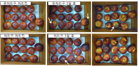 Photos of peachs(changbang) stored at 28℃ under 70% of relative humidity