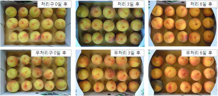 Photos of peaches stored for 6 days at room temperature.