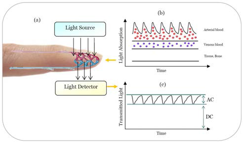 광학식 혈량변화 검출 원리