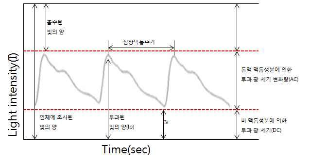 광의 세기가 동맥혈의 맥동 성분에 의한 변화