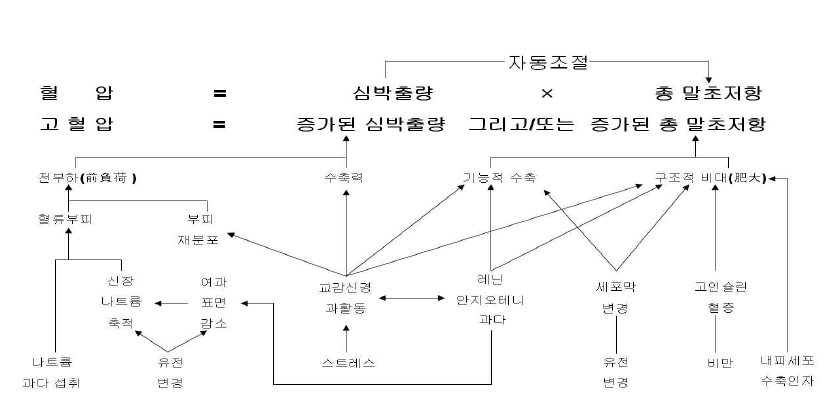 혈압의 발생기전을 설명하는 인자들