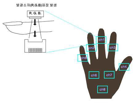 생체신호 검출을 위한 센서 배치도