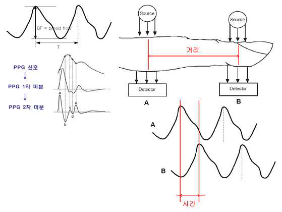 PPG 신호 검출 방식