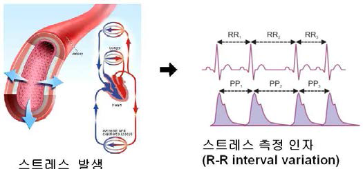 스트레스 발생에 따른 심박변위의 변화(R-R interval variation)