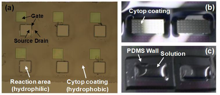 (a) Cytop을 coating한 나노갭 FET 바이오센서의 현미경 사진. (b) Cytop coating 이후의 사진. (c) PDMS 벽을 만든 후의 사진.