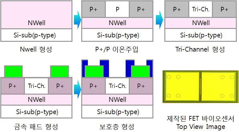 p-type Bulk Si Wafer 바이오센서 제작 방법