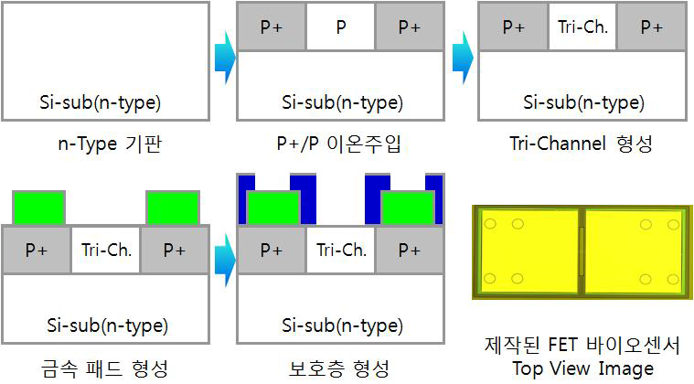 n-type Bulk Si Wafer 바이오센서 제작 방법