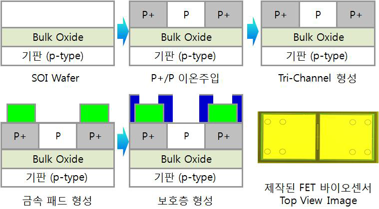 SOI Wafer 바이오센서 제작