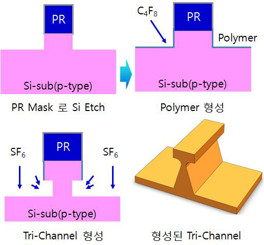 Bulk Wafer Tri-Channel 형성